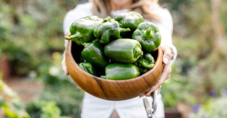 25 Superfoods You Can Easily Grow at Home for Healthier Meals