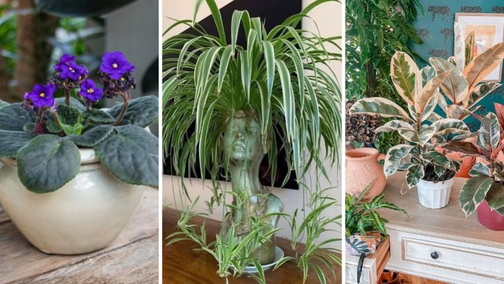 28 Popular Plants That Every ’90s Gardener Had to Have