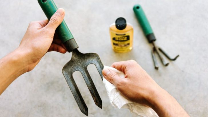 6 Essential Steps to Get Your Garden Tools Spring-Ready, According to Experts