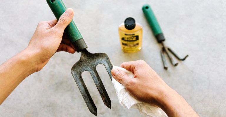 6 Essential Steps to Get Your Garden Tools Spring-Ready, According to Experts