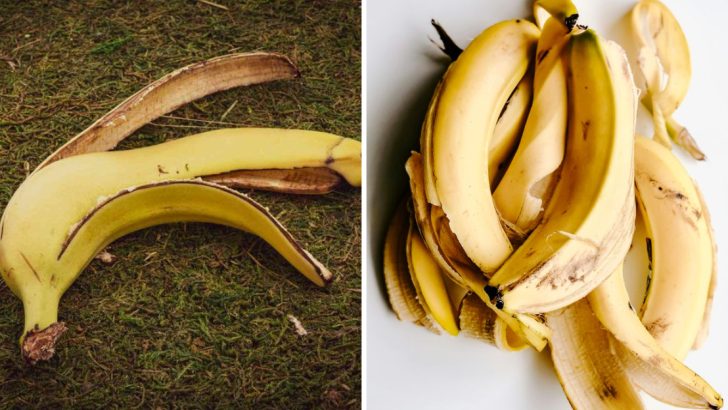 7 Surprising Benefits of Using Banana Peels in Your Garden