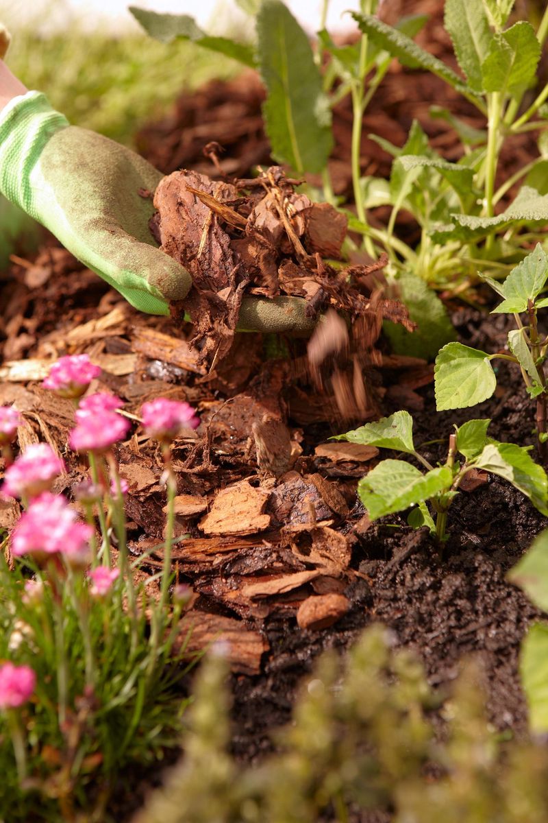 7. Mulch and Ground Cover