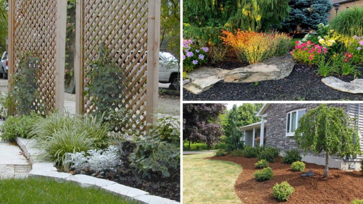 8 Maintenance-Free Landscaping Ideas for Busy Homeowners