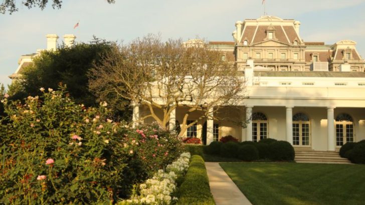 8 Unbelievable Things You Never Knew About the White House Garden