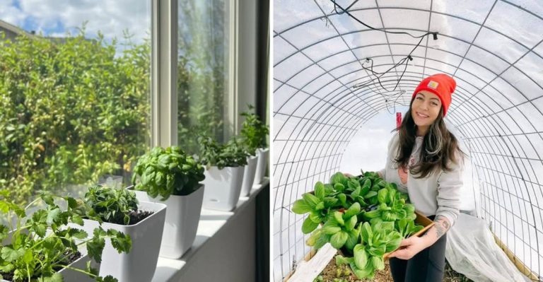 8 Winter Gardening Ideas to Get a Jump Start on Spring
