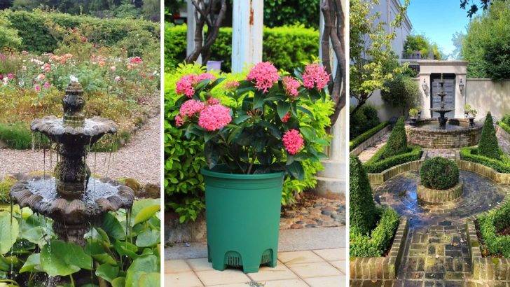 9 Overrated Garden Trends That Won’t Last in 2025