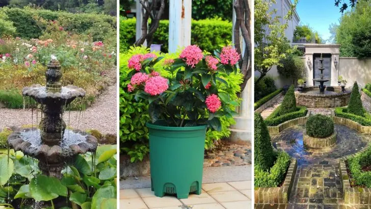 9 Overrated Garden Trends That Won’t Last in 2025