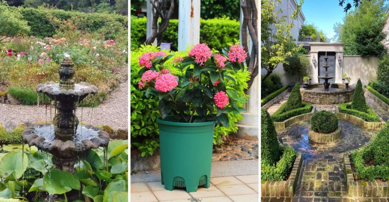 9 Overrated Garden Trends That Won’t Last in 2025