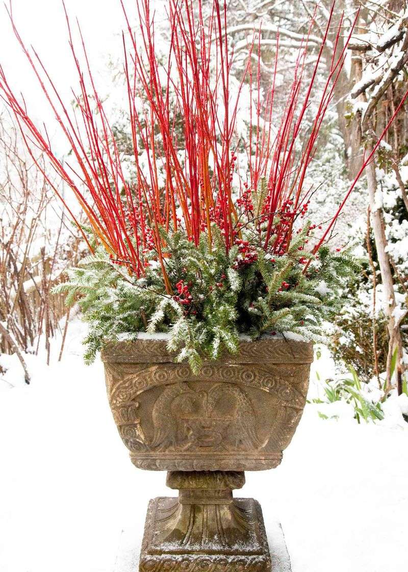 9. Winter Container Gardens