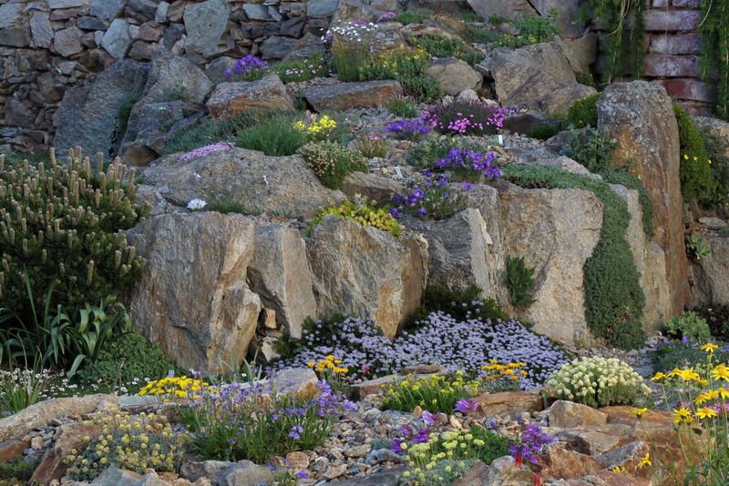 Alpine Rock Garden