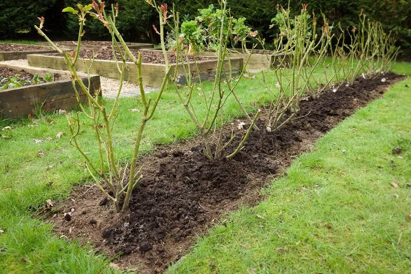 Applying Insect Barriers