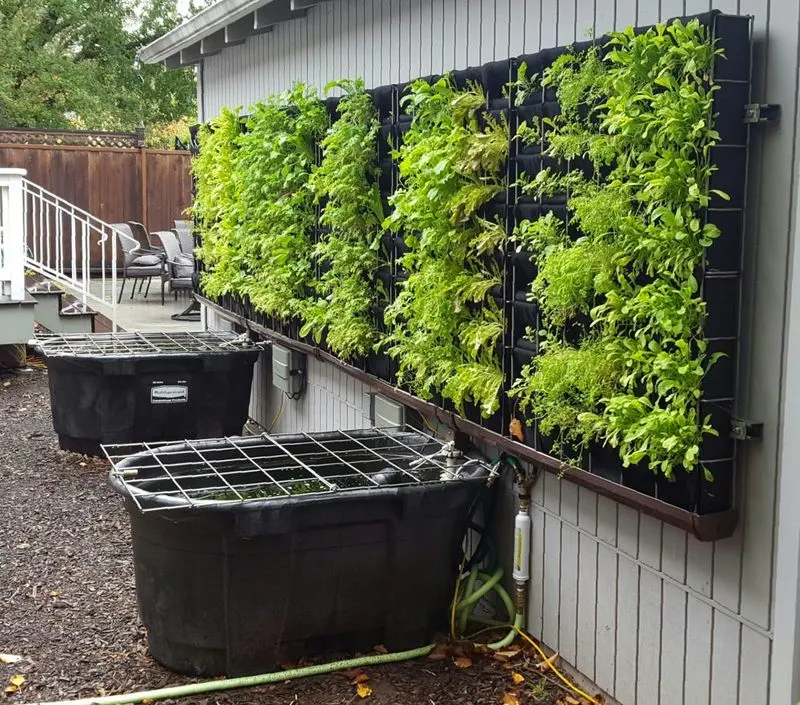 Aquaponics System