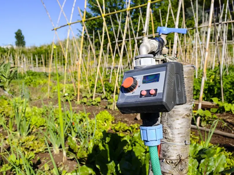 Automated Irrigation