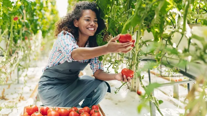 Baking Soda for Sweeter Tomatoes