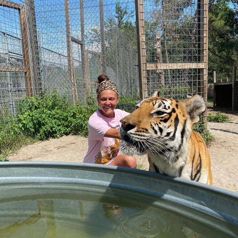 Bali Tiger