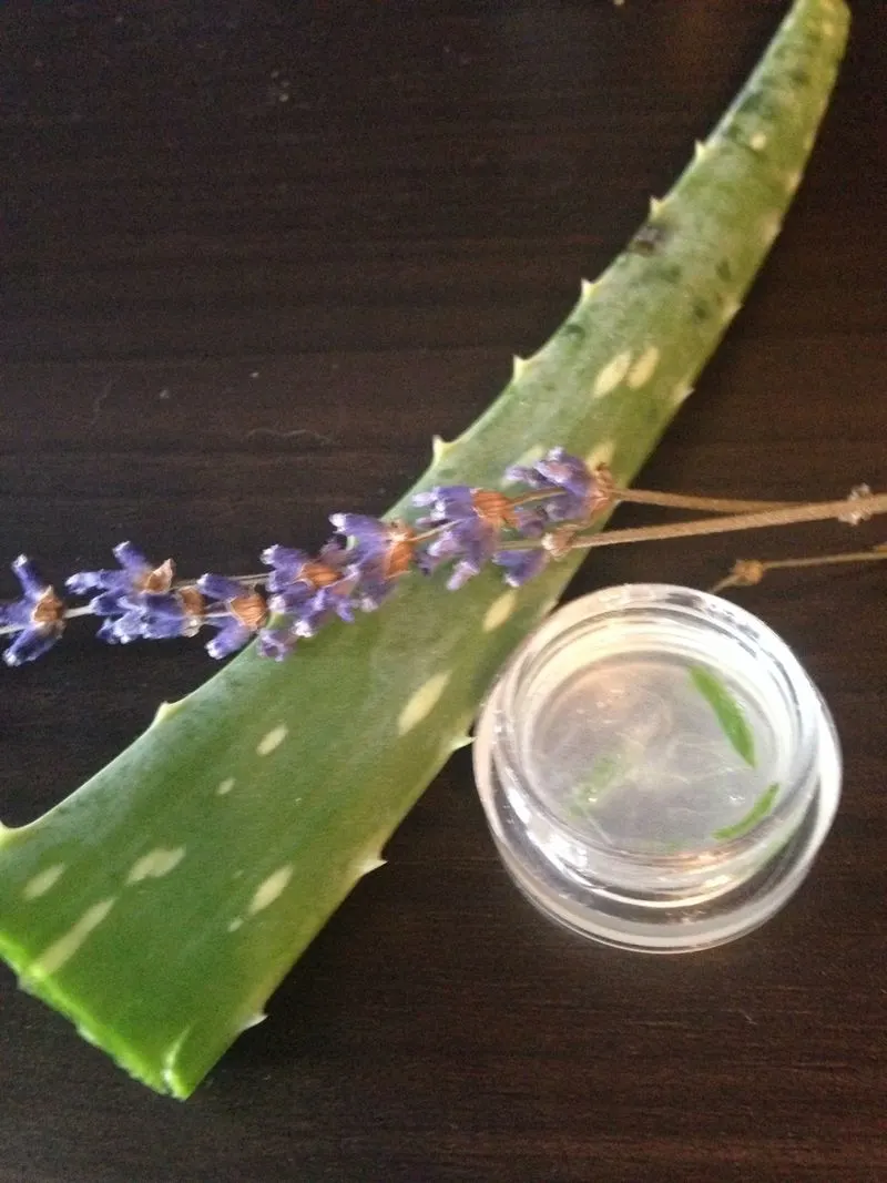 Bedroom: Lavender and Aloe Vera