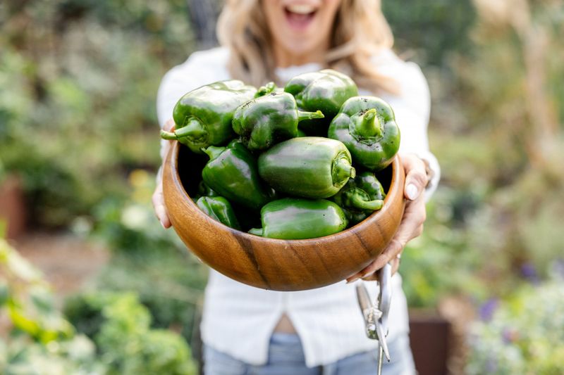 Bell Peppers