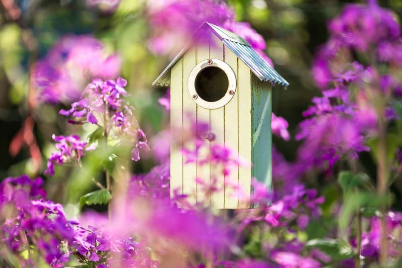 Bird-Friendly Spaces