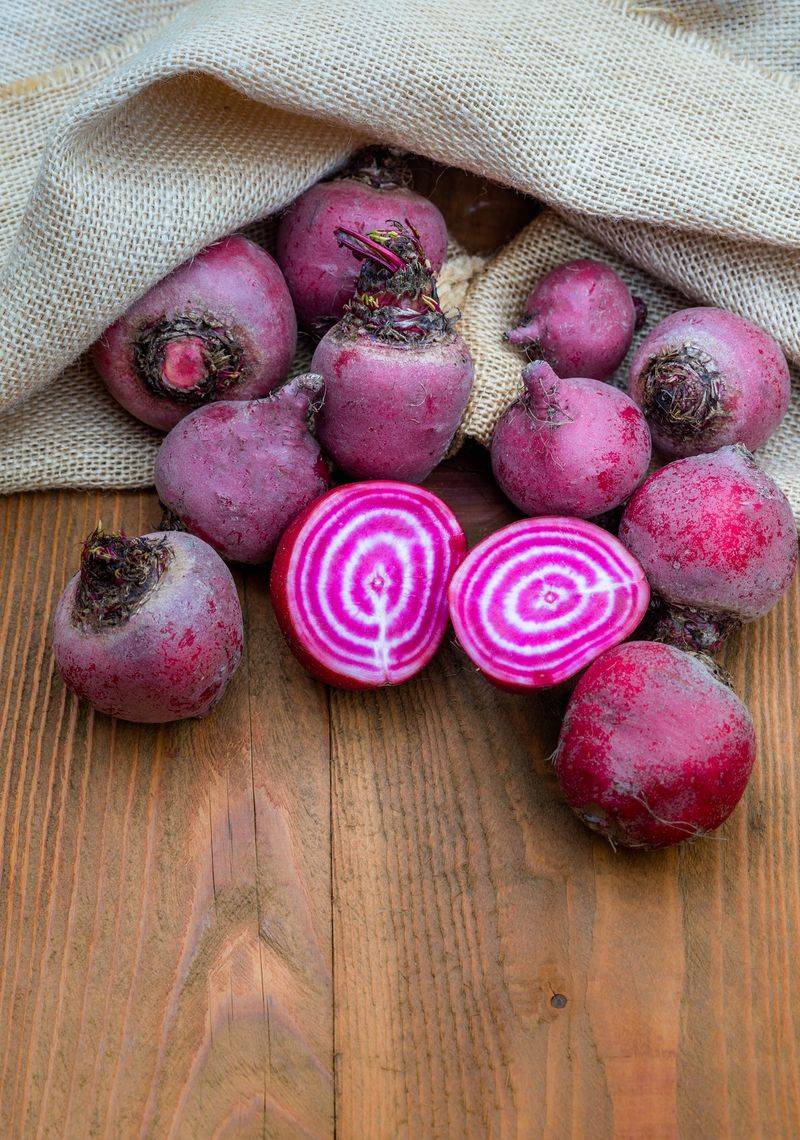 Chioggia Beet