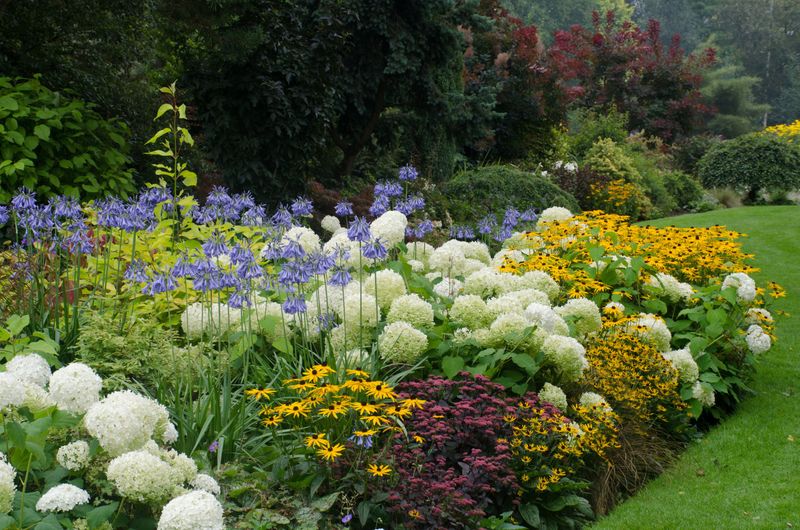 Choose Perennial Plants