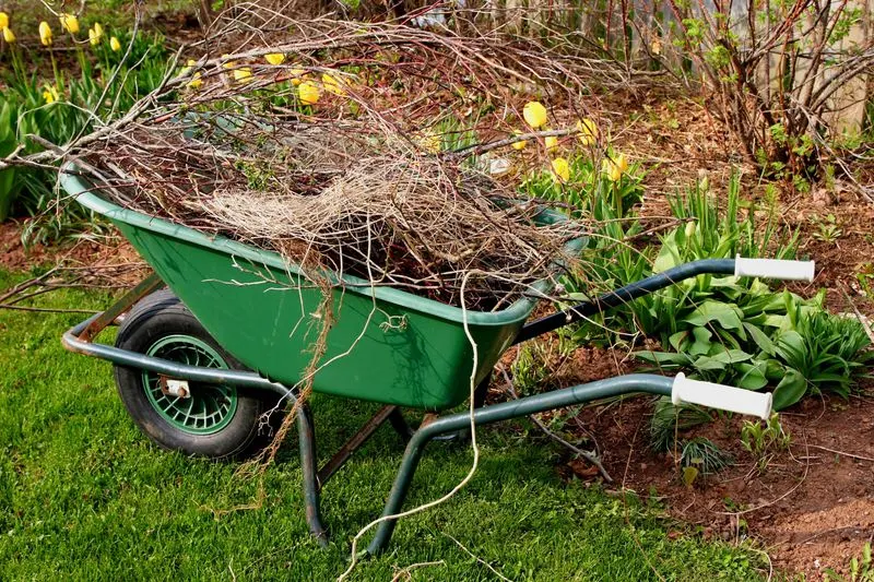 Cleaning Up Debris