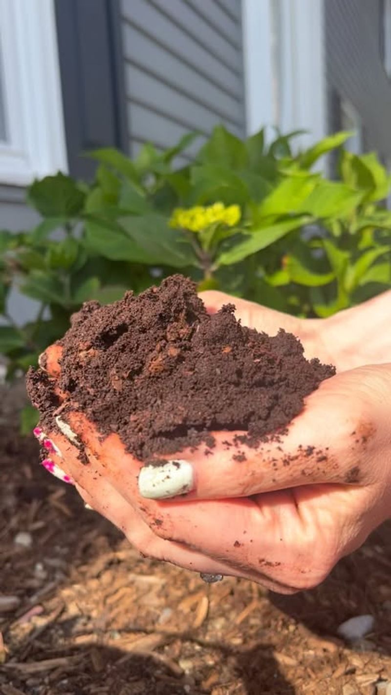 Coffee Grounds Fertilizer