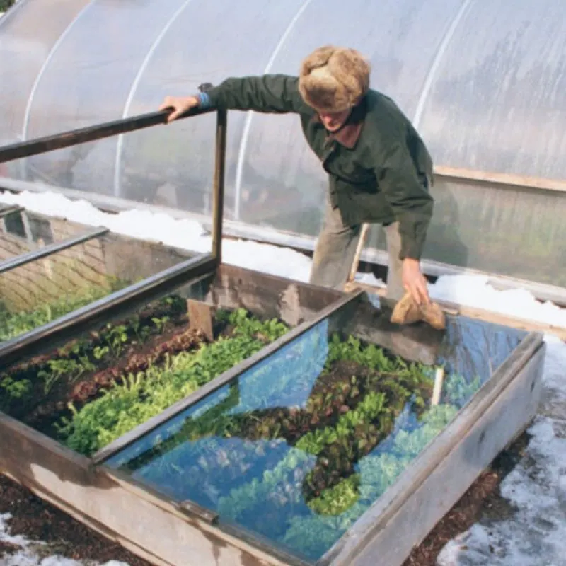 Cold Frame Construction