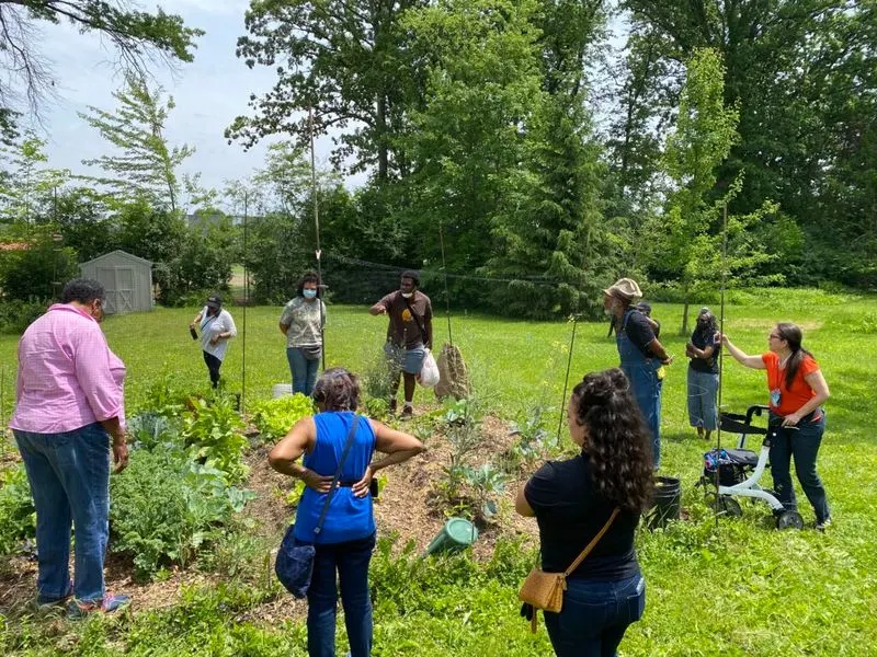 Community Garden Collective