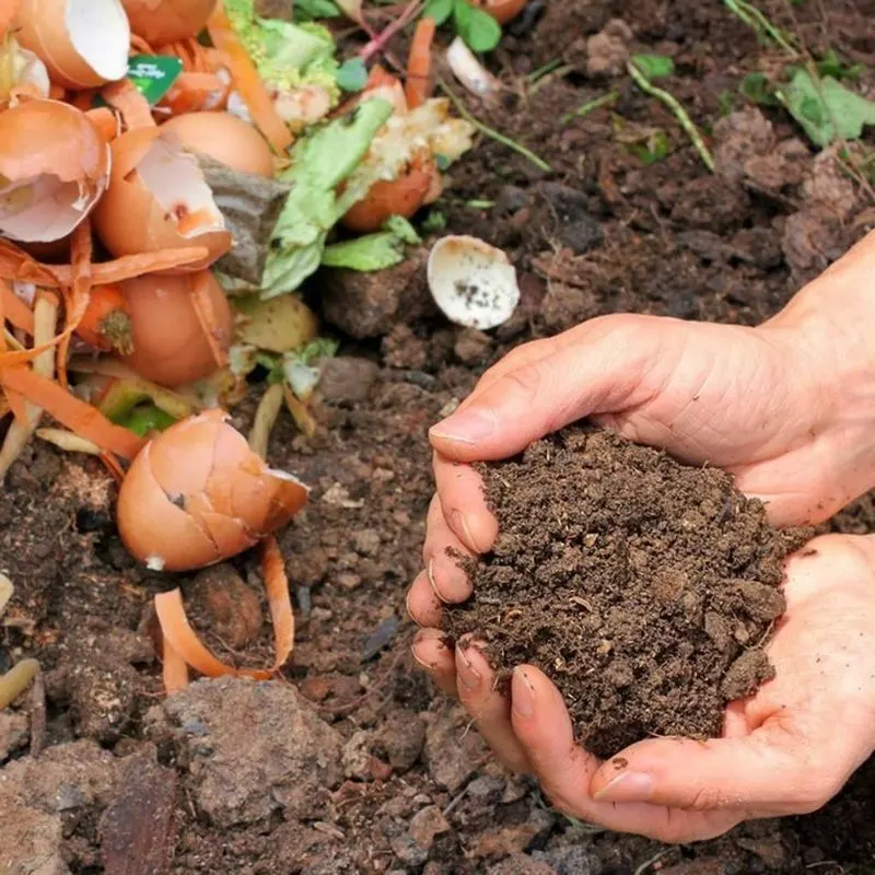 Compost Winter Waste