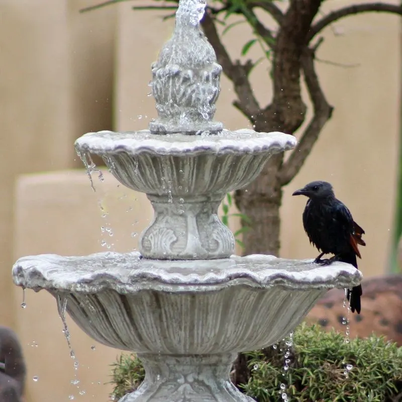 Concrete Bird Baths