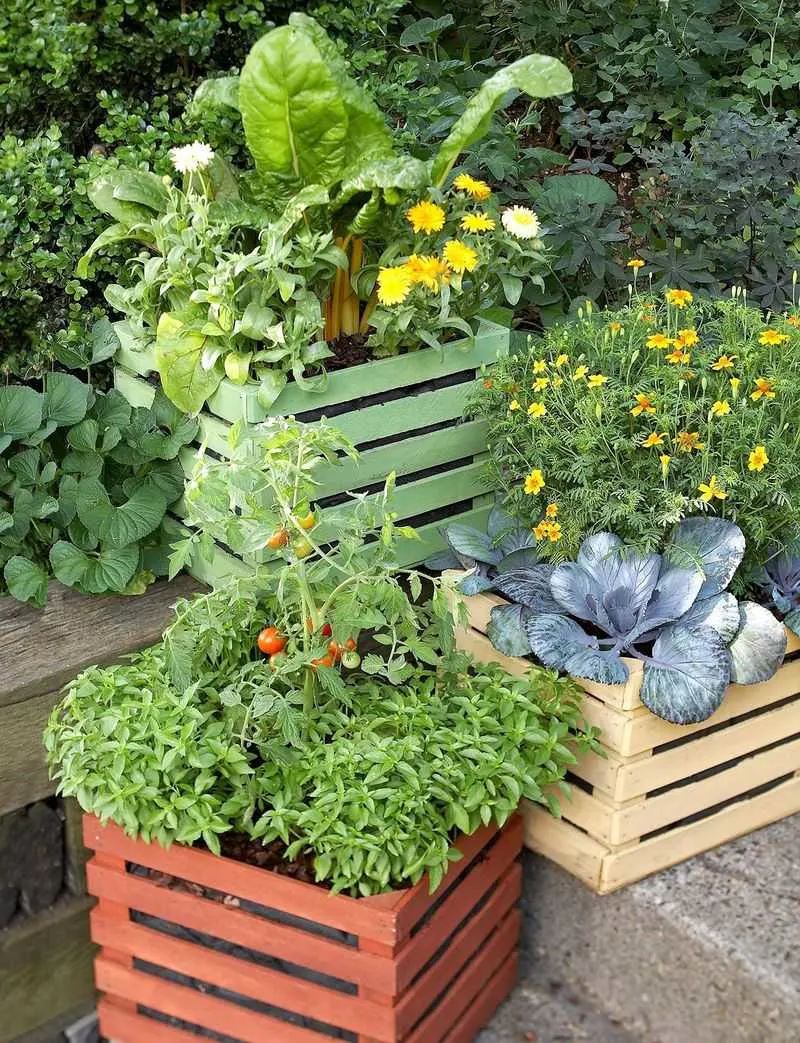 Container Gardening