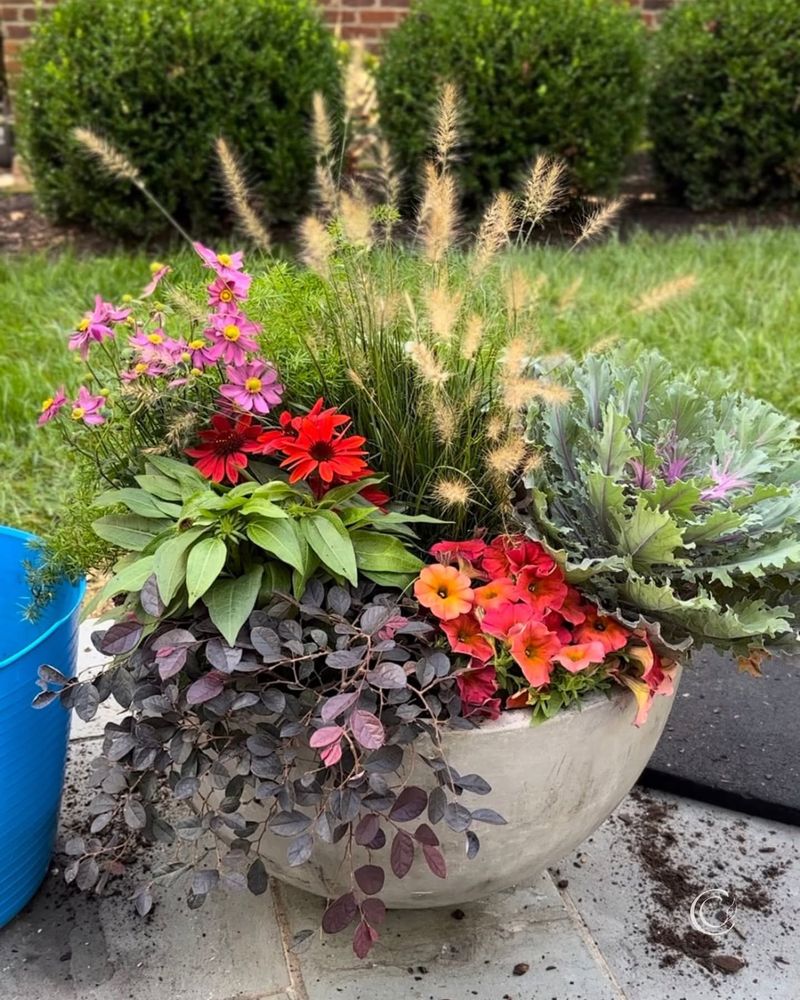 Container Gardens