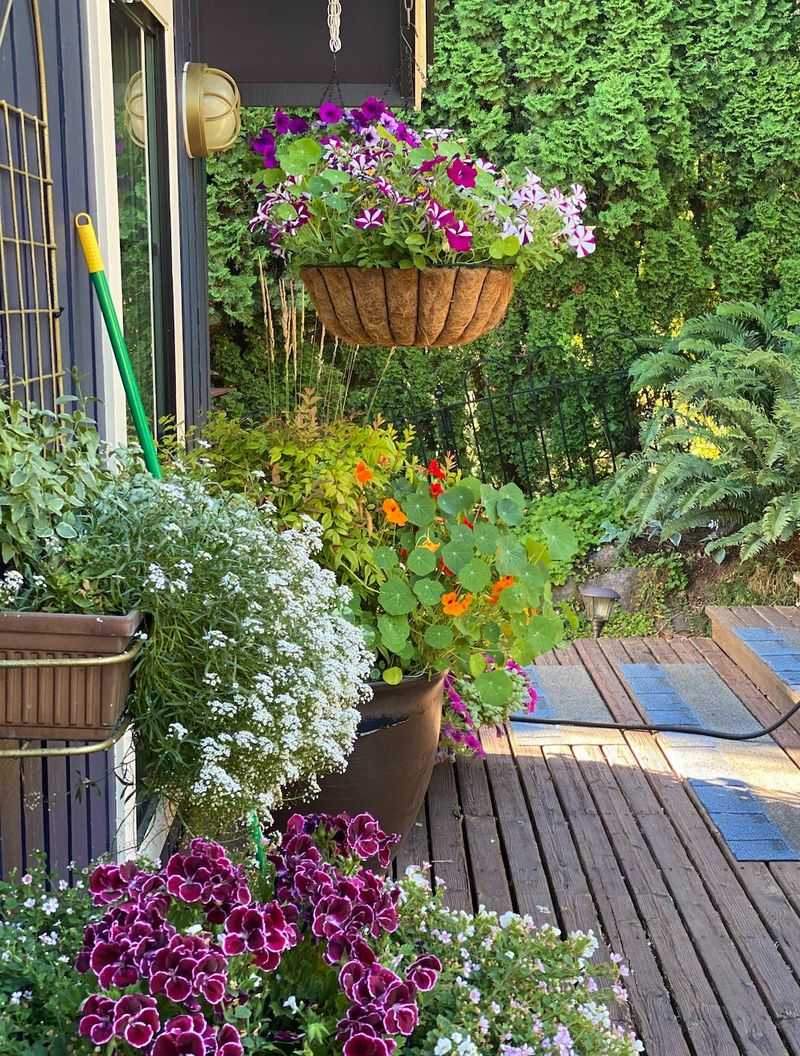 Container Gardens