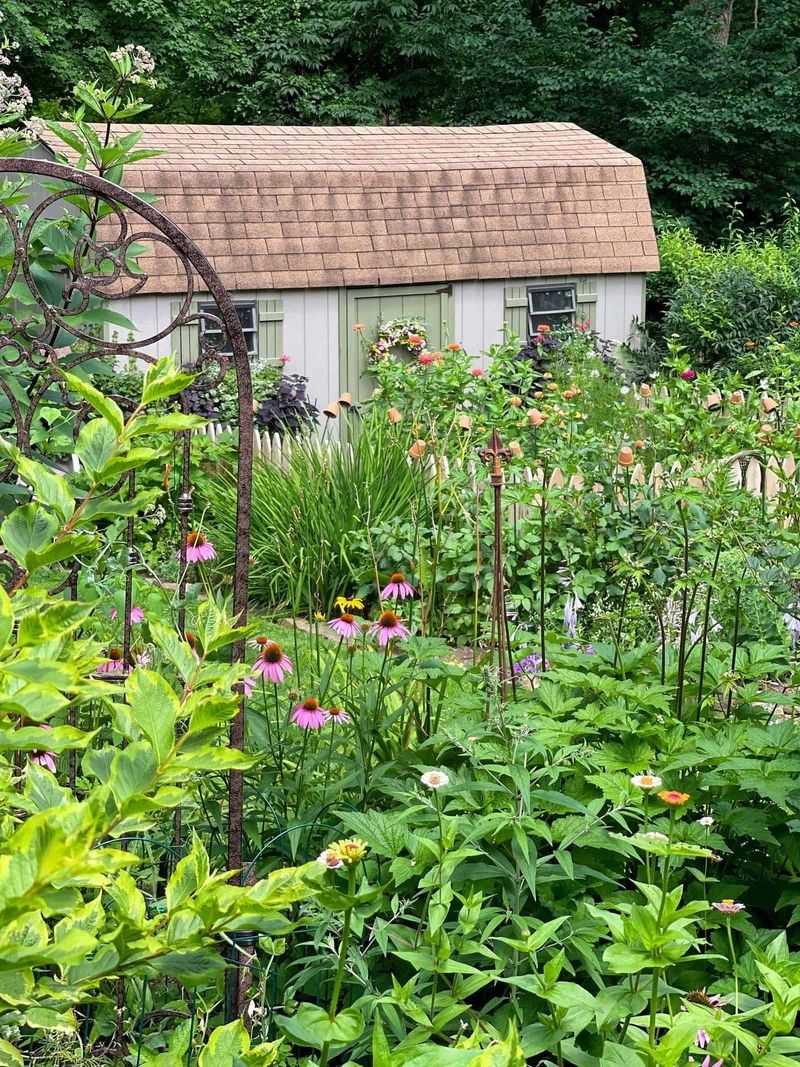 Cottage Garden