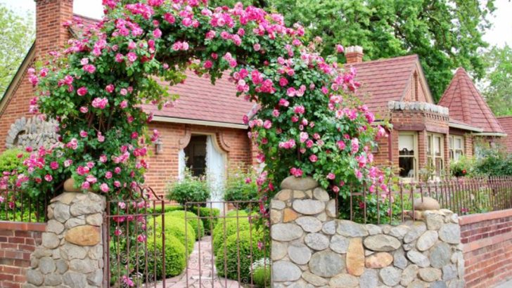 Cottage Gardens Are Back and 18 Must-Have Plants to Complete the Look