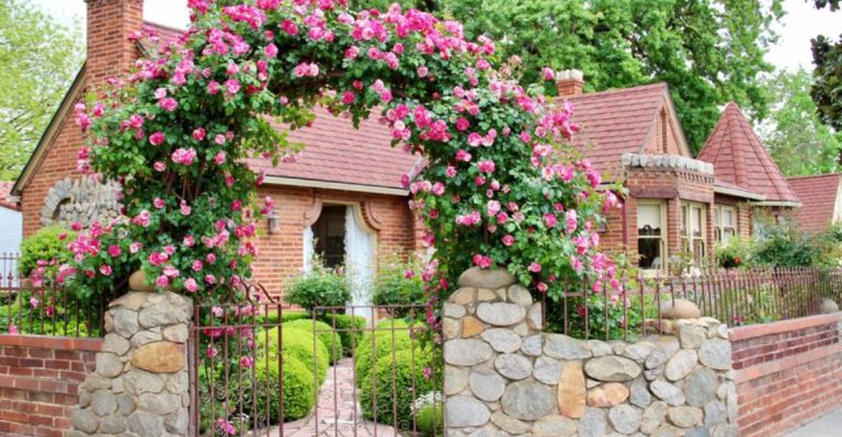 Cottage Gardens Are Back and 18 Must-Have Plants to Complete the Look