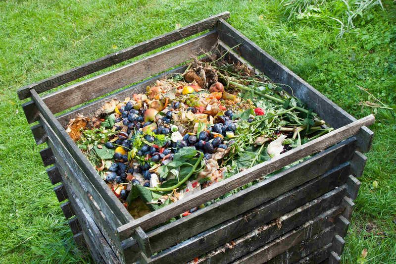 Create a Compost Pile