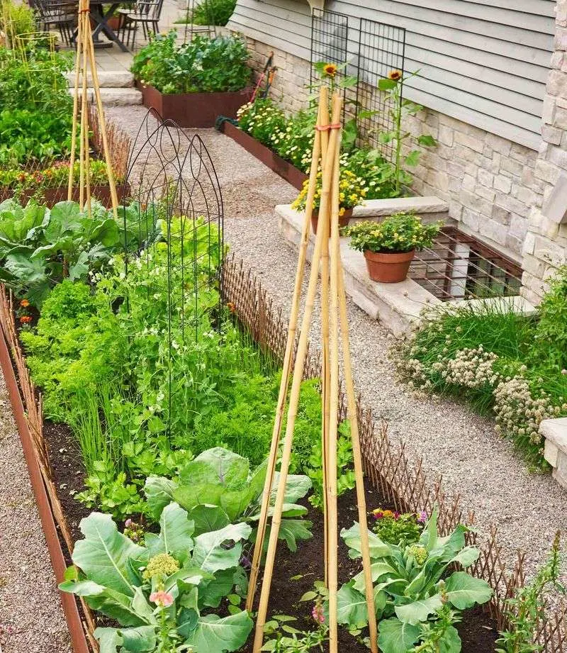 DIY Raised Beds