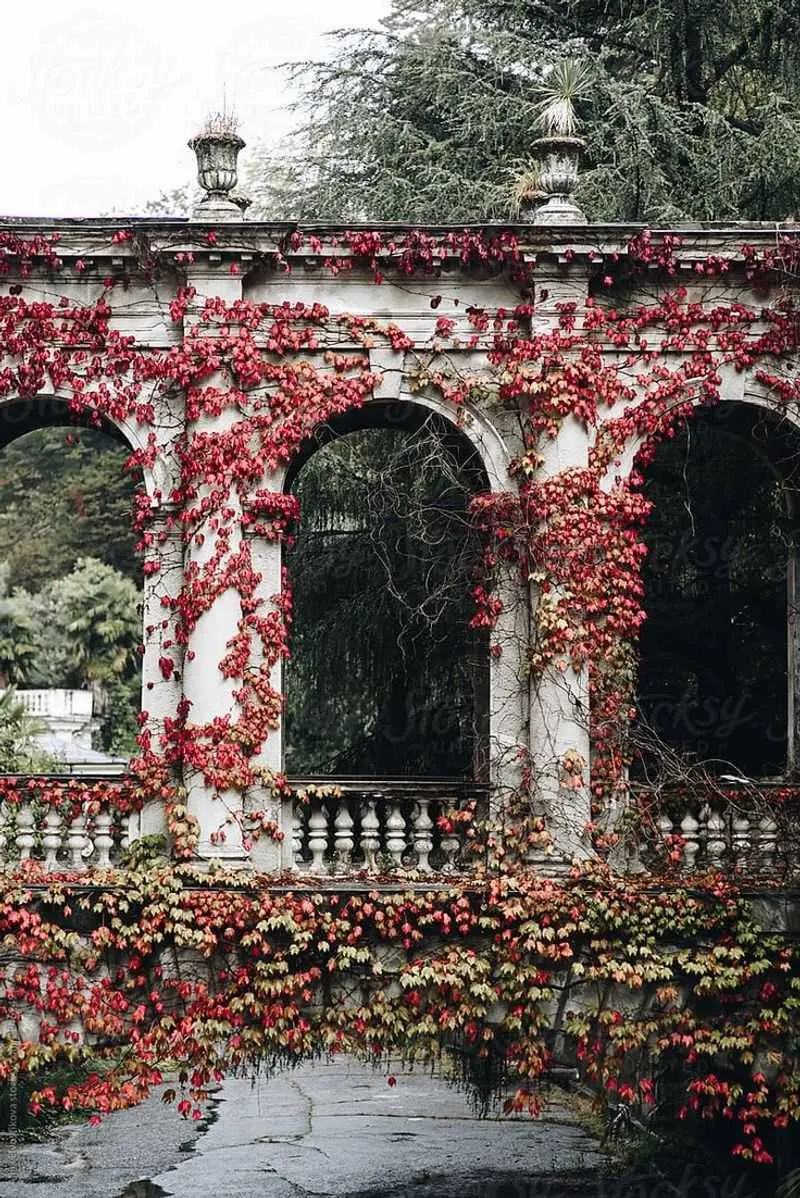 Dark Ivy Archways