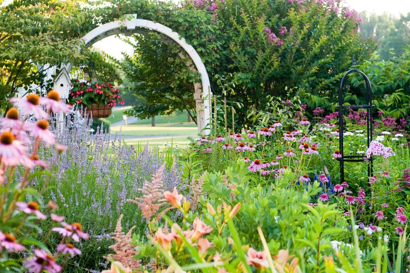 Decorative Garden Borders