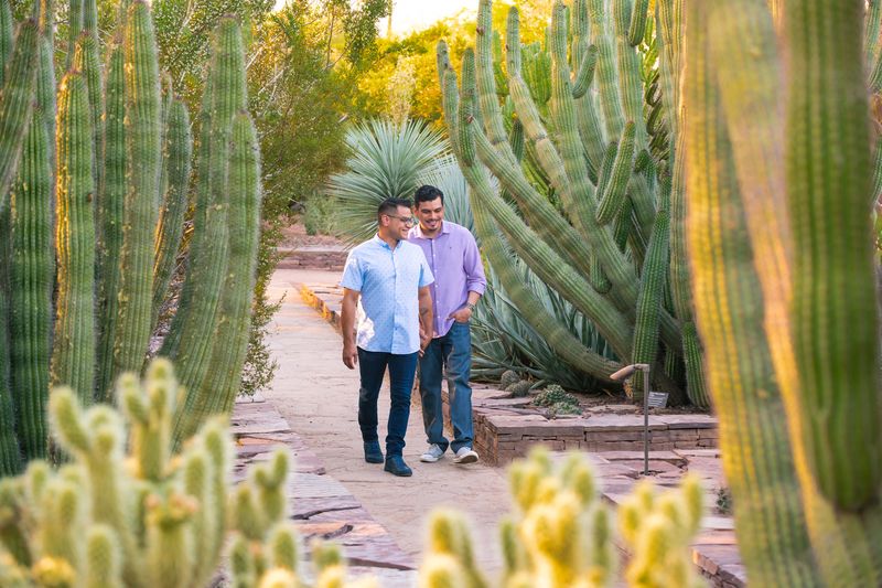 Desert Botanical Garden, Arizona