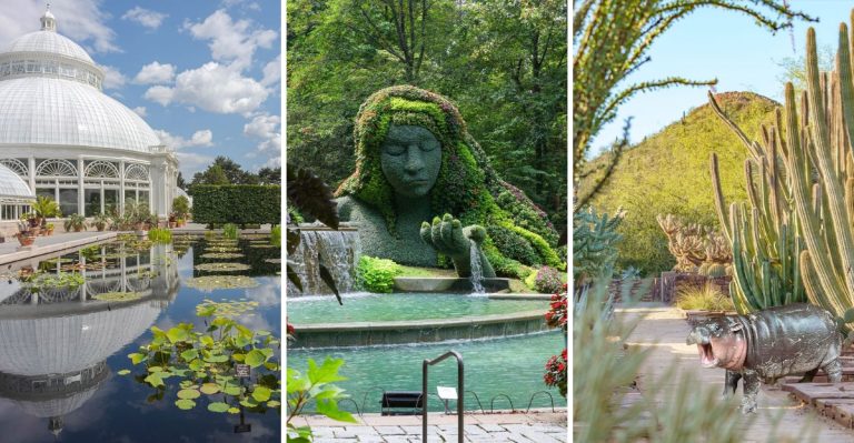 Discover the 10 Most Beautiful Botanical Gardens Across the U.S.