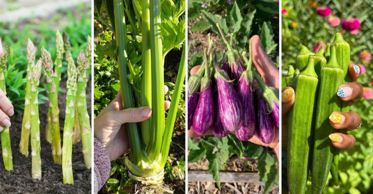 Don’t Bother Growing These 13 Crops If You Want a Productive Garden
