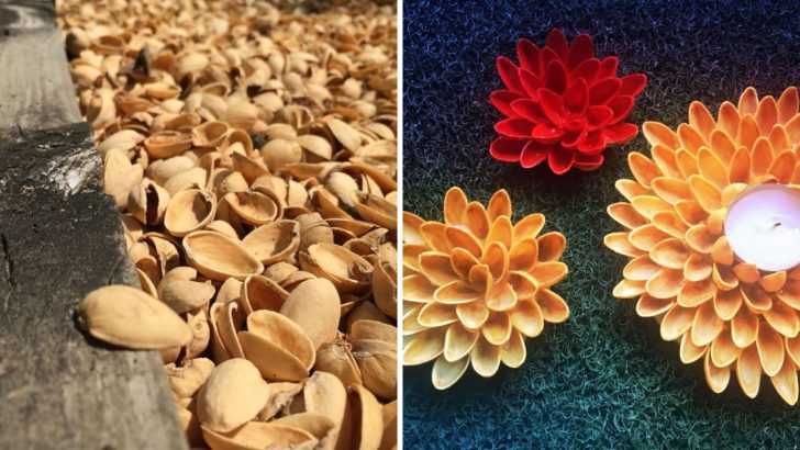 Don’t Throw Away Pistachio Shells – Here Are 6 Ways to Reuse Them