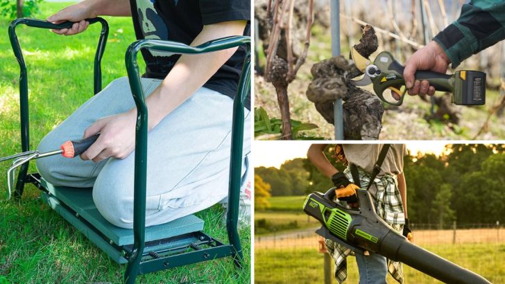 Don’t Waste Your Money on These 13 Unnecessary Gardening Tools