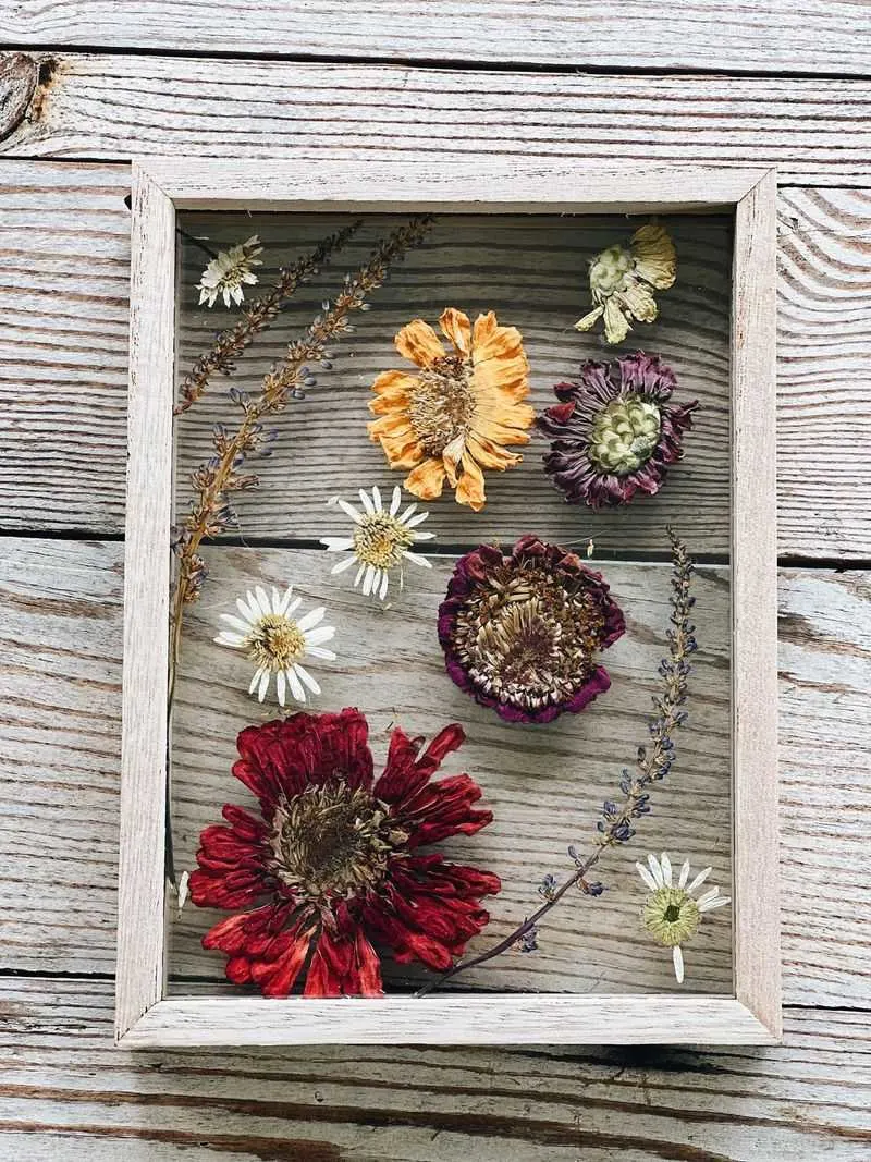 Dried Flower Artistry