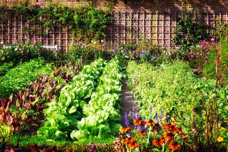 Edible Landscaping