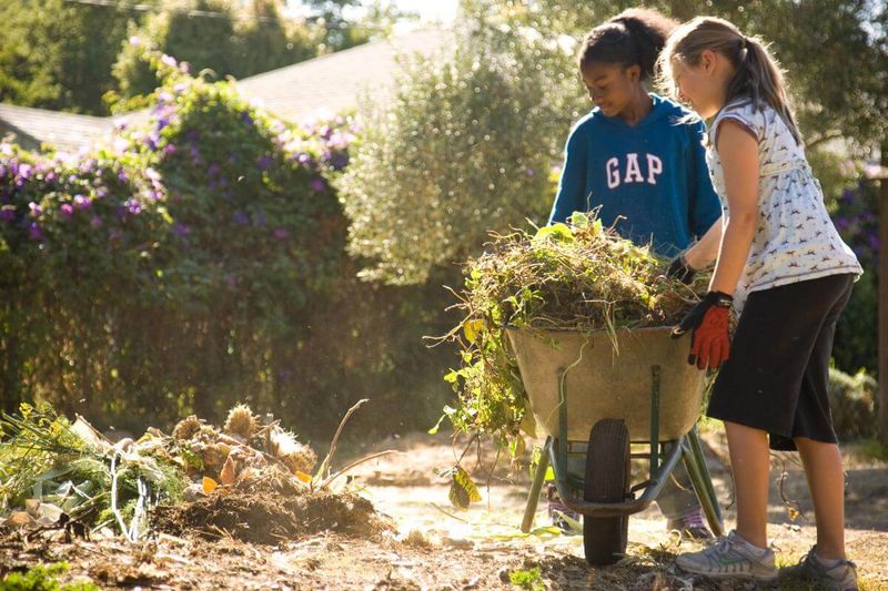 Edible Schoolyard