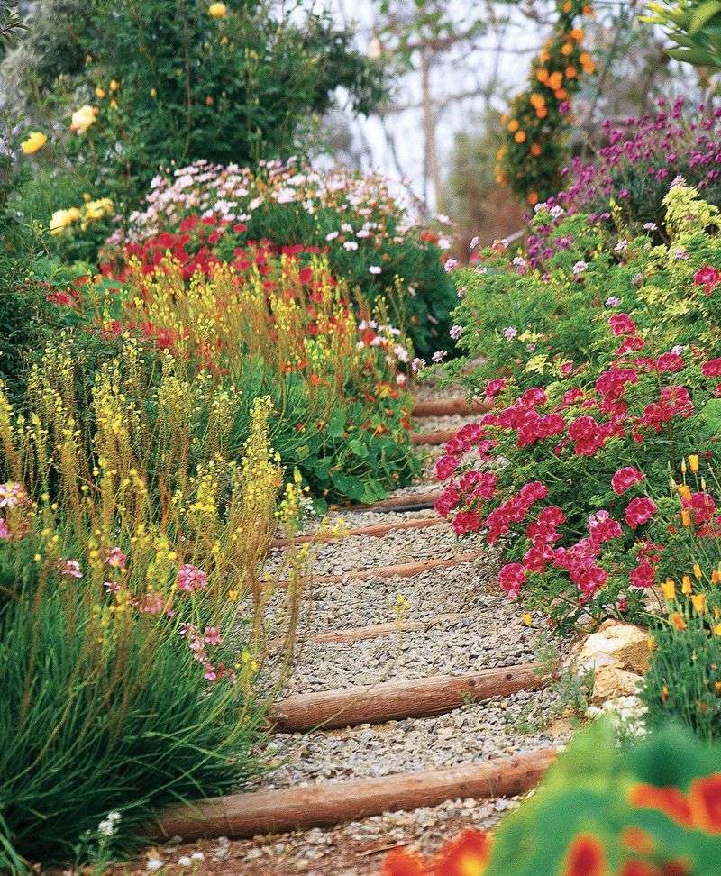 Edible Wildflower Wonderland