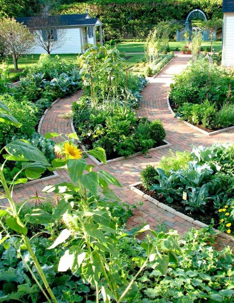 Efficient Garden Layout Design